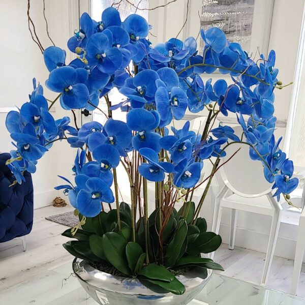 Bowl Avenue with Blue Phalaenopsis Orchids
