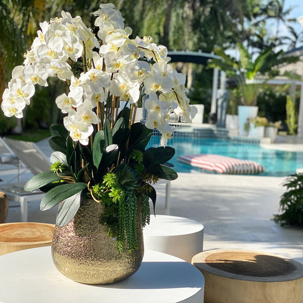 Delaney Gold Vase with Multiple Phalaenopsis Orchid Stems and Succulents
