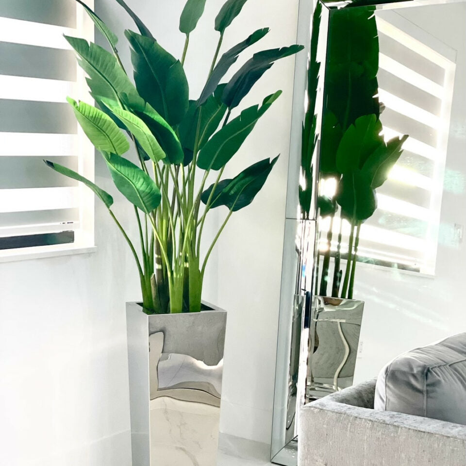 Bird of Paradise Plant (2.1 m) in Stainless Steel Cube Vase – Size M