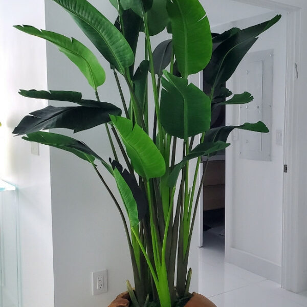 Large Teak Root Vase with Large Bird of Paradise