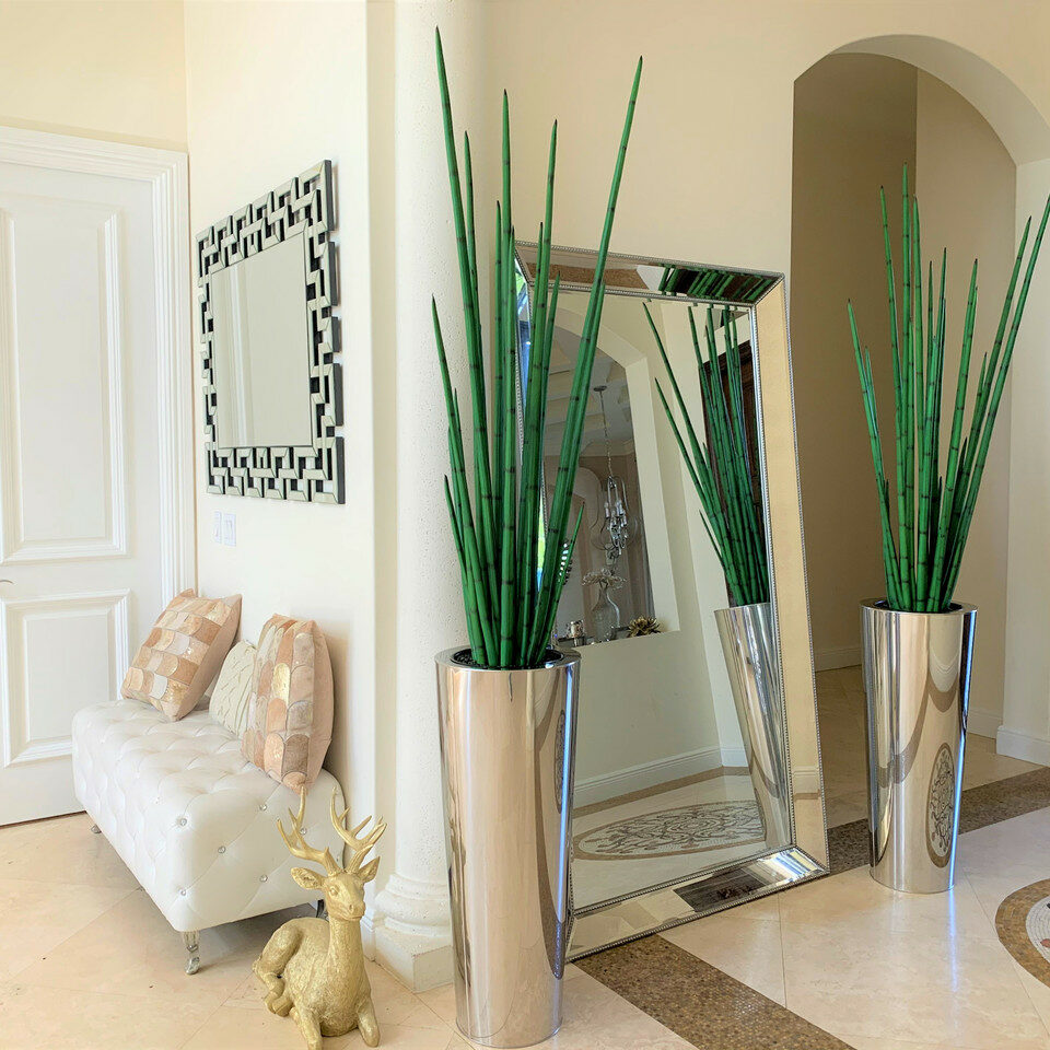 Large, Polished Stainless Steel Pot with Large Snake Grass Plant
