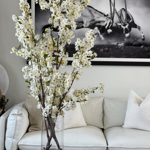 Cherry Blossoms in 40 cm Glass Cylinder